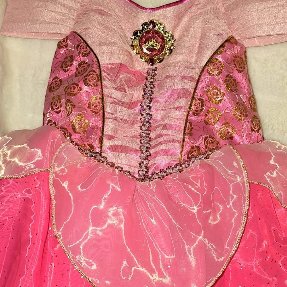 Disney Aurora Costume